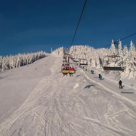 Bile Labe 8 Lägenhet Špindlerŭv Mlýn