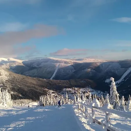 Appartement Bile Labe 8 *