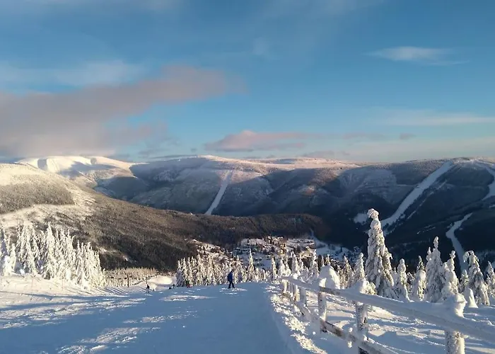 Appartement Bile Labe 8 *